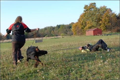 Training in Estonia 9/2007